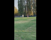 Woman in white shirt poses with the sunlight on her
