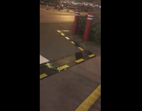 Mouse collects popcorn into bush