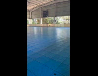 Dog rides skateboard on the hockey rink