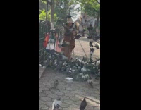 Woman with bucket hat and trench coat feeds pigeons