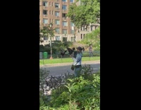 White jacket girl feeds pigeon birds park