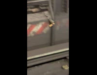 Collab winy - Rat carries a churro at the subway