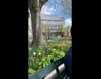 Woman beige dress dance museum of Jewish heritage