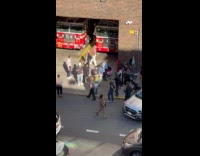 Stitch rides car films video on street