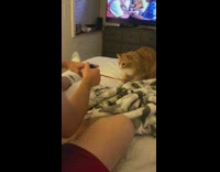 girl plays catch orange cat