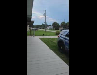 Black dog excited to play fetch ball