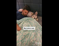 When mom thinks shes going to be sleeping with dad 