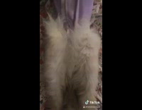 Cat purple shirt lays on back pajamas