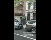 Two fish in aquarium outside cement wall 