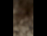 Submitter shows crocs looks like pet dog