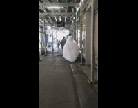 Person walks in big white circle costume 