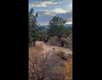 Women Halloween costumes sexy poses at park Part 2