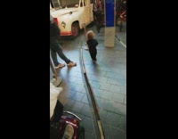Little boy walks into glass wall at museum