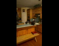 Cat waits for woman to come home