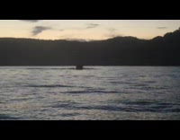 Guy in boat does wheelie lake water 