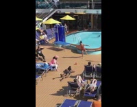 Collab IITW - Girl balances on leg red ball pool 