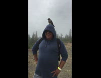 Guy with brown bird on head mountain 