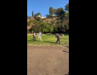 Man and Woman tiktok dance at park