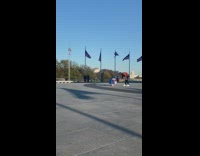 Guy sonic costume run monument american flags
