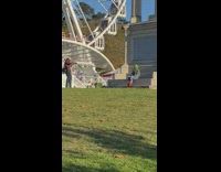 Green frog costume mask person ferris wheel 