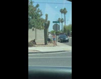 Guy Hugs Cactus for Photo 