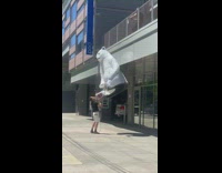 Guy on sidewalk gently letting down a polar bear statue
