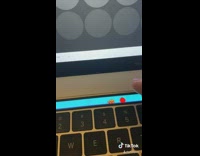 Touchbar macbook pro pet cat death counter