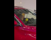 Man sitting in traffic in red car shaking yellow shakers to music
