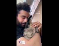 Collab PLC - Man hug kiss cuddle pet cat part 3