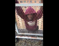Man hoodie hang on railings building rooftop