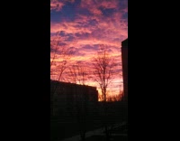 Submitter films pink and purple sky 