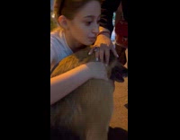 Collab ClipsIG - Women hug and hold paw of brown dog