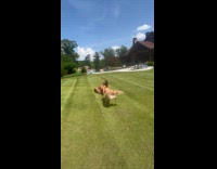 Woman doing cartwheels and flips lands on her back