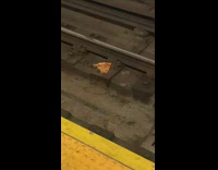 rat in subway rails eating pizza