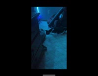 Cat smelling toy on floor scared jumps back 