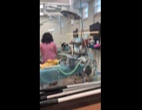 Cat tries to run away from vet