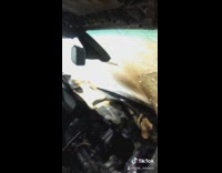 Guy destroyed burned car broken windshield mirror