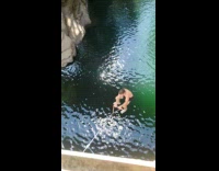 Collab SendItOfficiall - Man swings down from a bridge