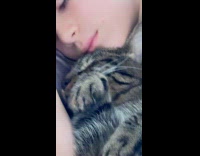 Girl sleep on bed with tabby cat