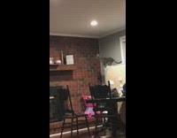 Cat jumps off of bed onto  fireplace shelf, knocks down picture frame and breaks glass candle