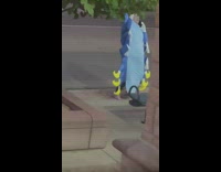 Woman blue caterpillar costume argue phone call