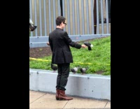 Man black suit hand feed pigeon bird