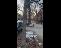 Cars drives at sidewalk avoid traffic jam