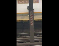 Guy in subway station walking his two weasels