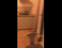 (3RD PARTY CONTENT) Kitten cat watches tom and jerry television