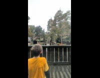 Kid get splashed on from log flume ride 