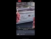 Rooftop has raw meat hanging 