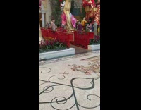 Photographer lay on floor guy shake head