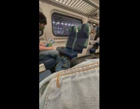 Pet turtle sits across from owner on train 