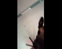 Woman working out with dog staring at her